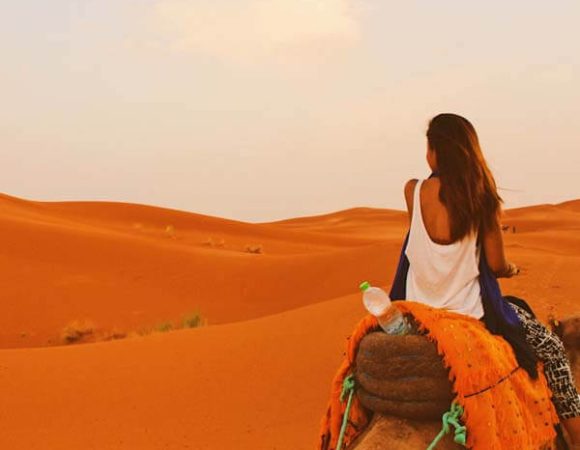 Camel Safari in Dubai