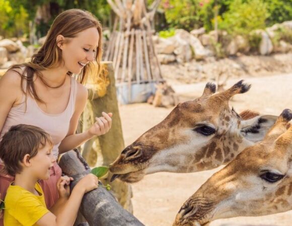 5 Things You Need to Know Before You Go to Dubai Safari Park