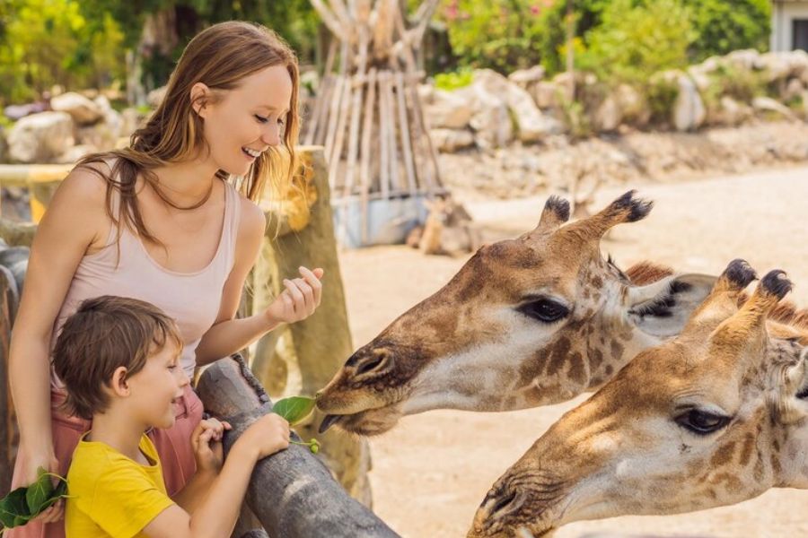 5 Things You Need to Know Before You Go to Dubai Safari Park