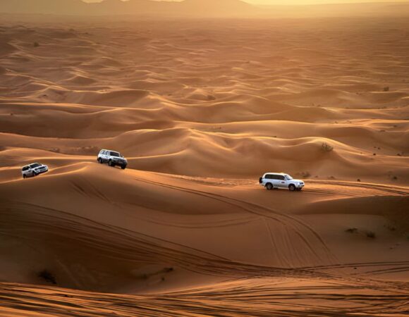 Top 5 Must Do Activities at the Evening Desert Safari in Dubai