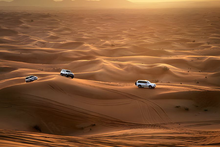 Evening Desert Safari in Dubai