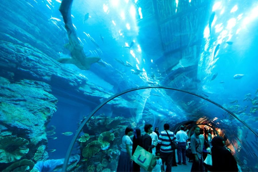 Wonders of Dubai Mall Aquarium