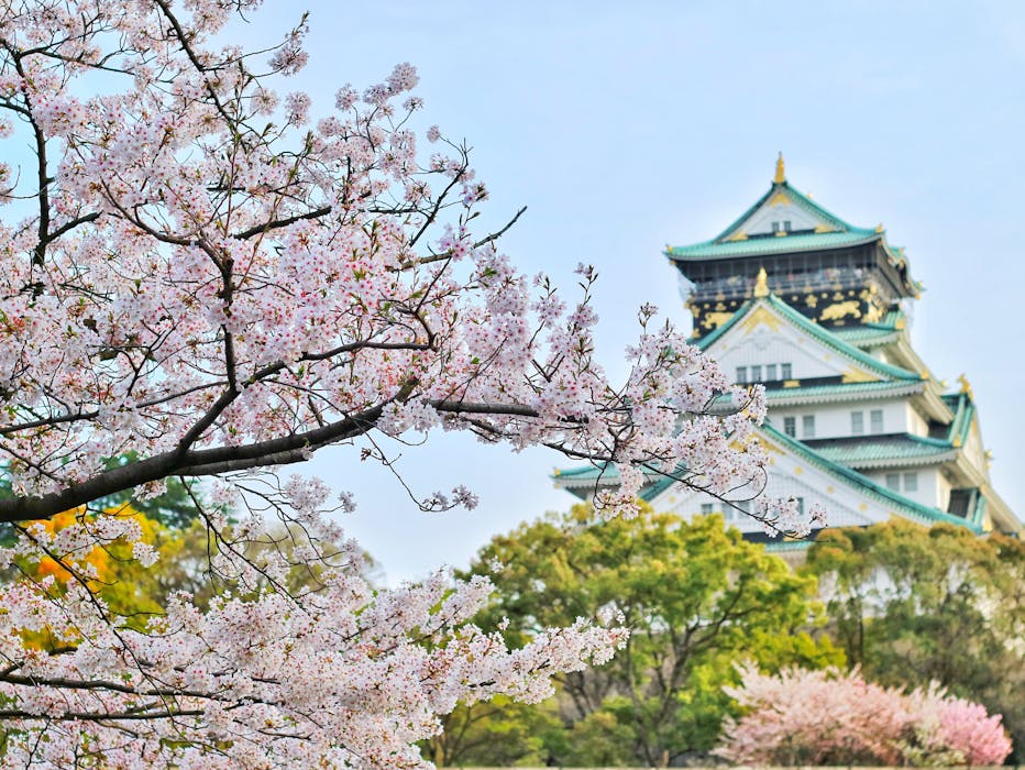 Charming Spots to Visit in Japan