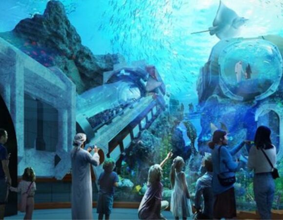 Family Fun at SeaWorld Abu Dhabi Top Activities for All Ages