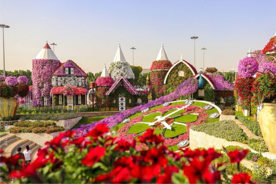 The Top Instagram-Worthy Spots at Dubai Miracle Garden