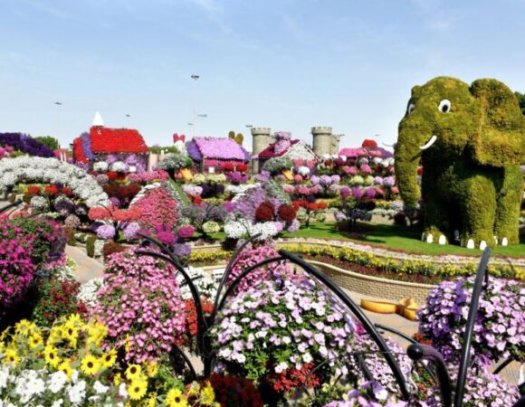 Top 10 Must-See Attractions to See in Dubai Miracle Garden 