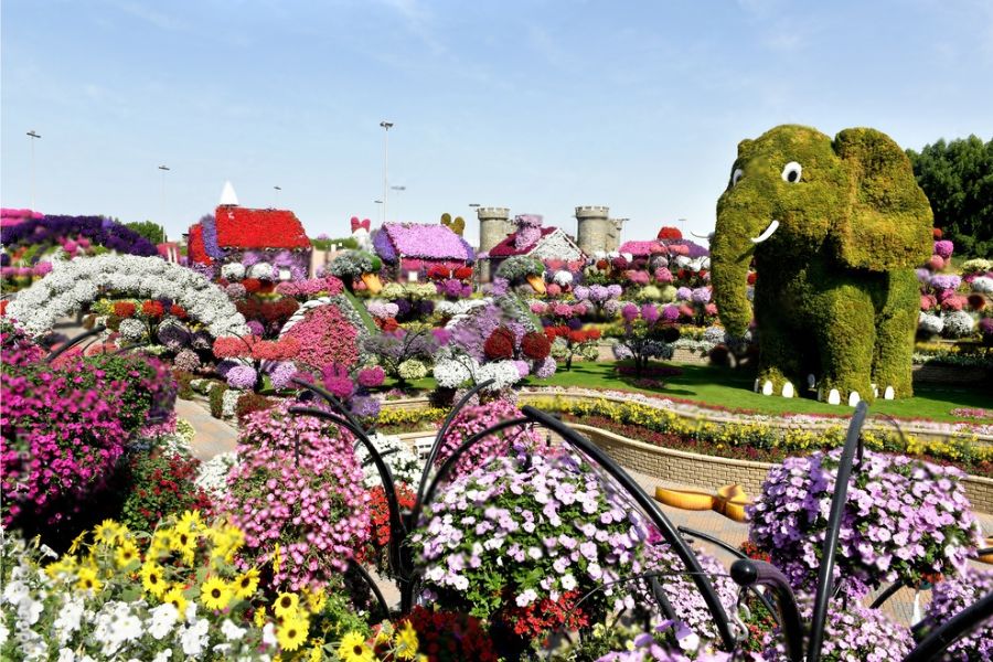 Attractions to See in Dubai Miracle Garden 