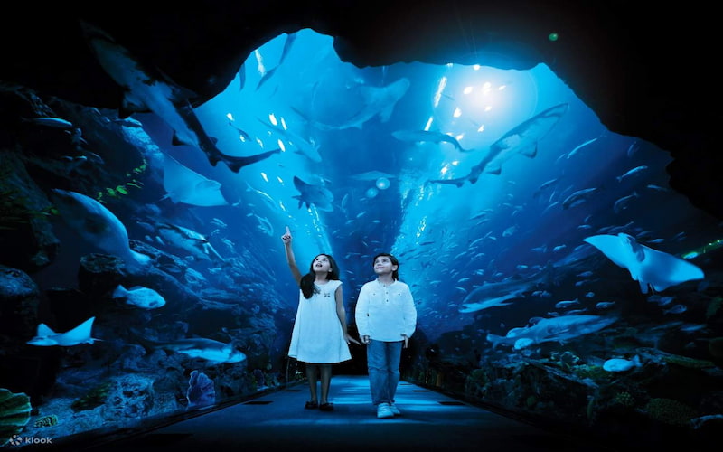 Dubai Mall Aquarium