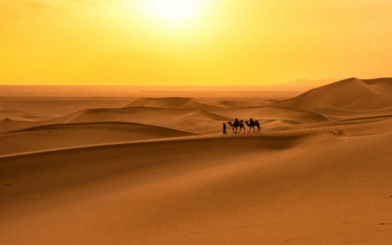 Guide to Evening Desert Safari in Dubai