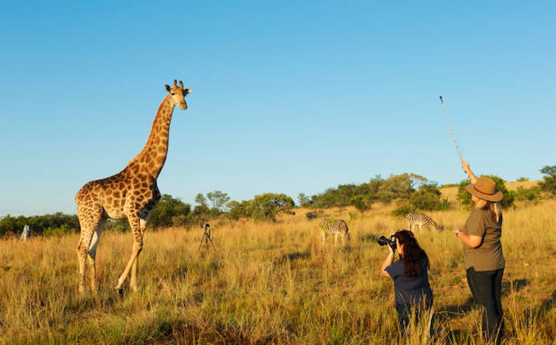 Reasons to Visit Dubai Safari Park