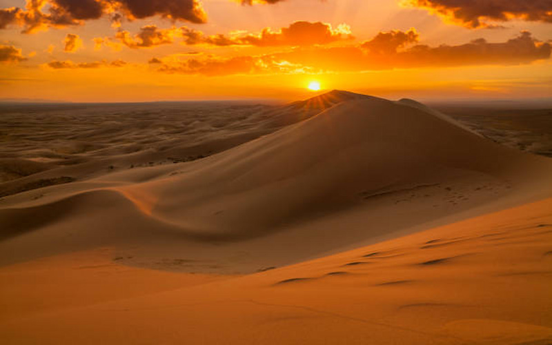 Exciting Desert Safari Adventures in Dubai (2)