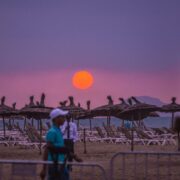 Dubai Safari Park Timings: Best Hours to Visit