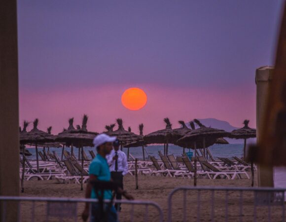 Dubai Safari Park Timings: Best Hours to Visit & Avoid the Crowds 