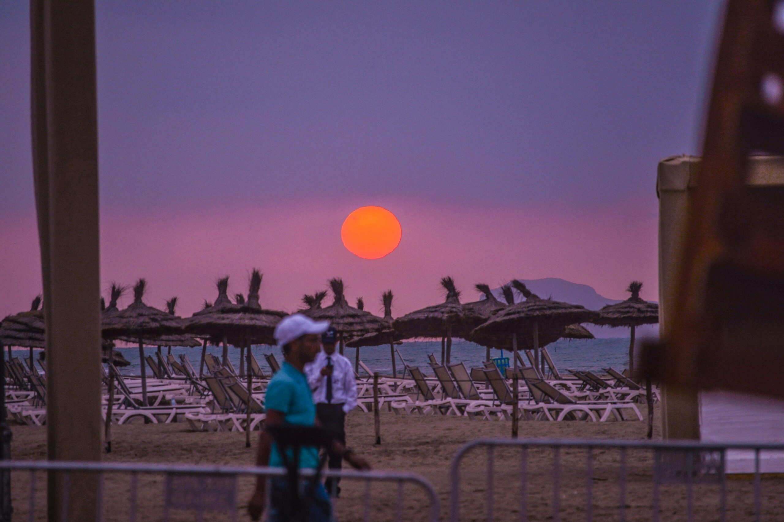 Dubai Safari Park Timings: Best Hours to Visit