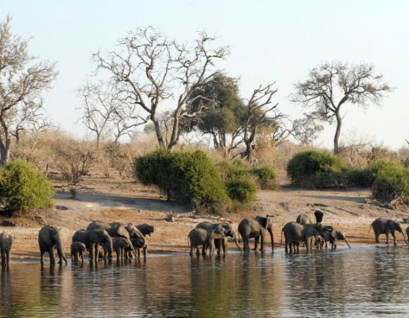 10 Travel Tips for First-Time Visitors to Botswana