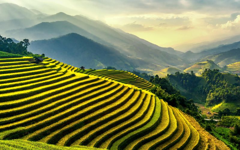 Bali for Honeymooners