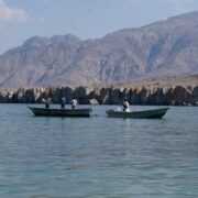 Day Trip to Musandam Dibba from Dubai
