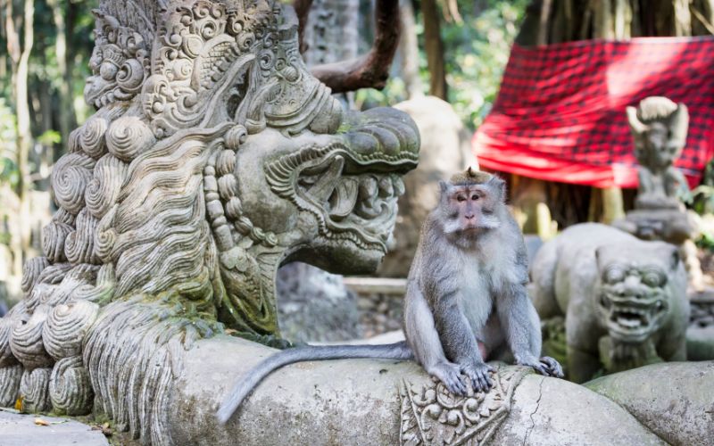 Experiences in Bali