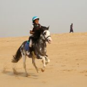 Best Rides for Young Kids at Wild Wadi
