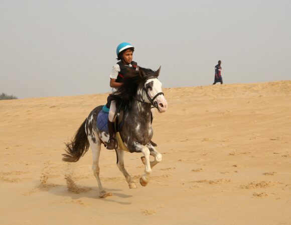 Best Rides for Young Kids at Wild Wadi You Must Try Now