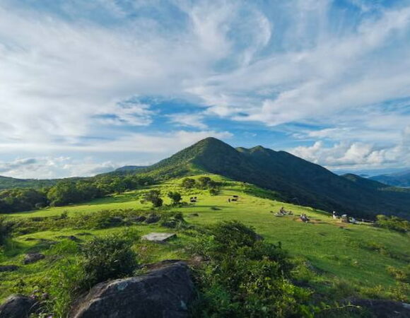 Must-See Hong Kong: A Travel Guide for UAE Visitors