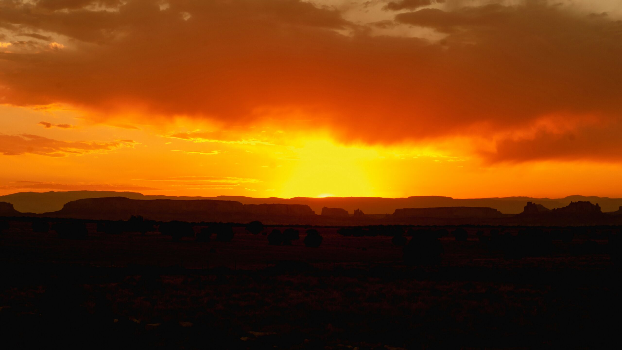 Sunset Timing is Best for Desert Safaris